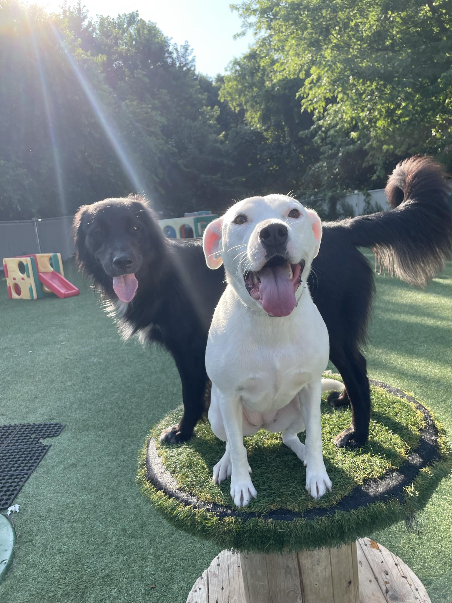 Messenger_creation_331acda7-8b42-43dc-9654-d662df87c7b9