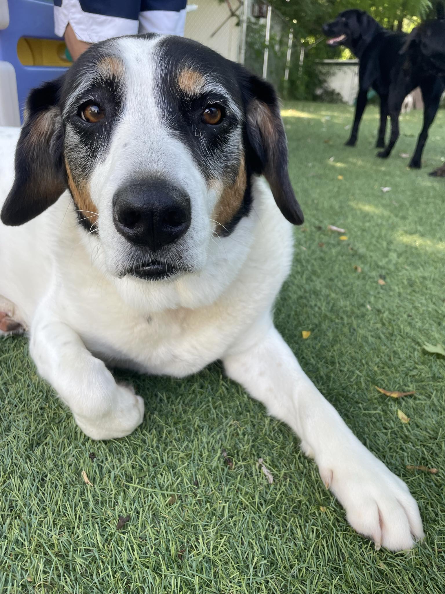 Messenger_creation_96c71869-162d-4d2d-a1d8-75b2892500b5