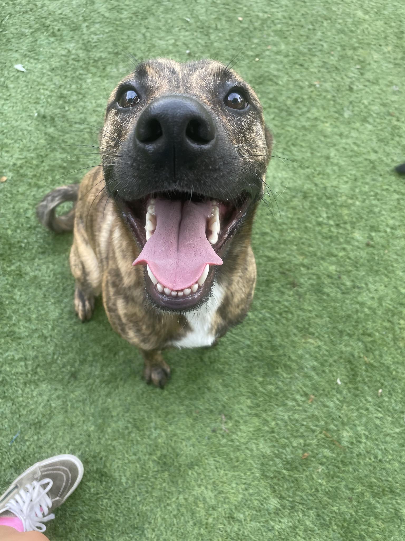 Messenger_creation_ab558b2c-aeae-478a-b038-16a52efebefc