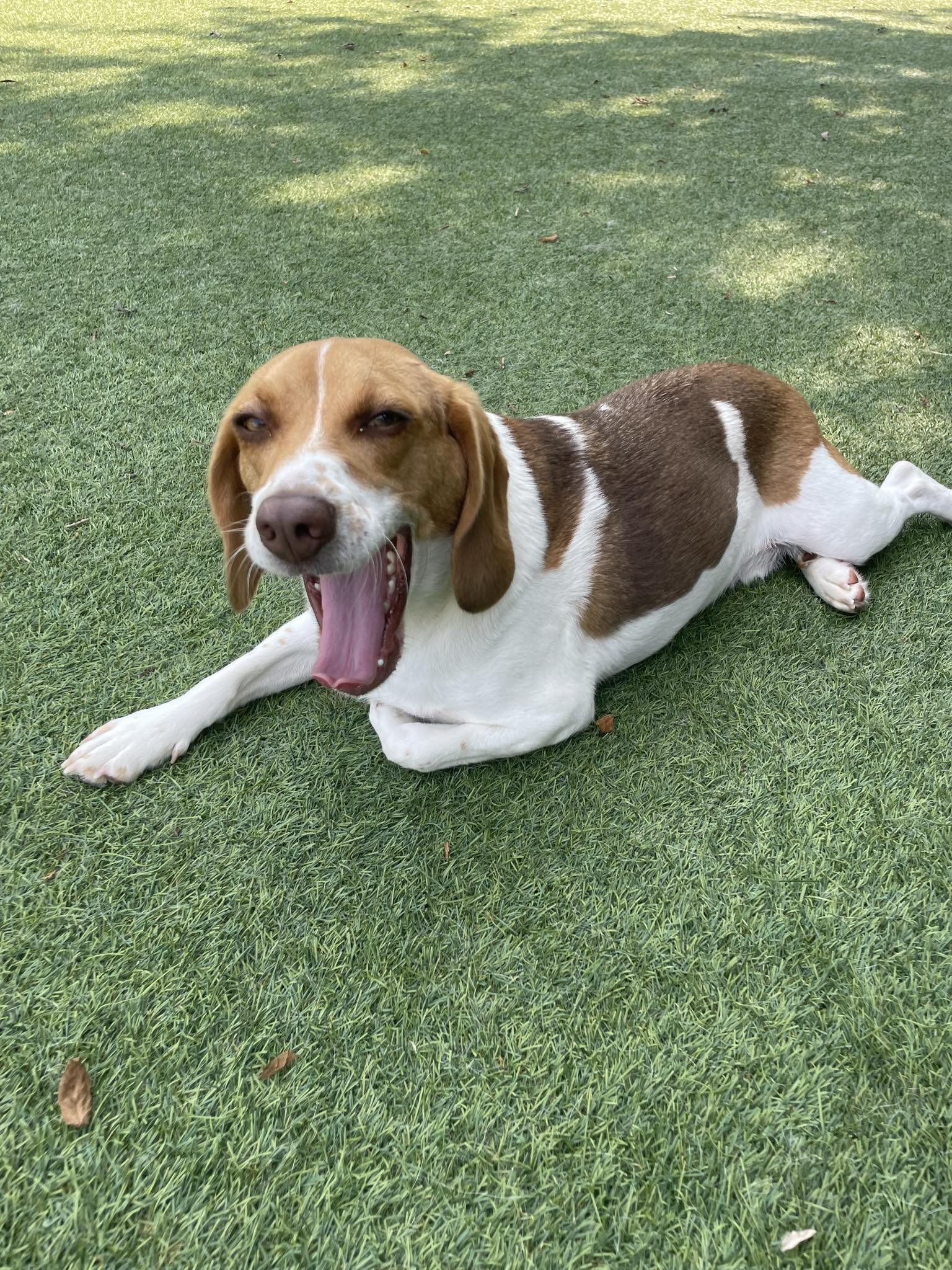 Messenger_creation_e5234cf1-3728-40f6-b097-364b85b9bed5