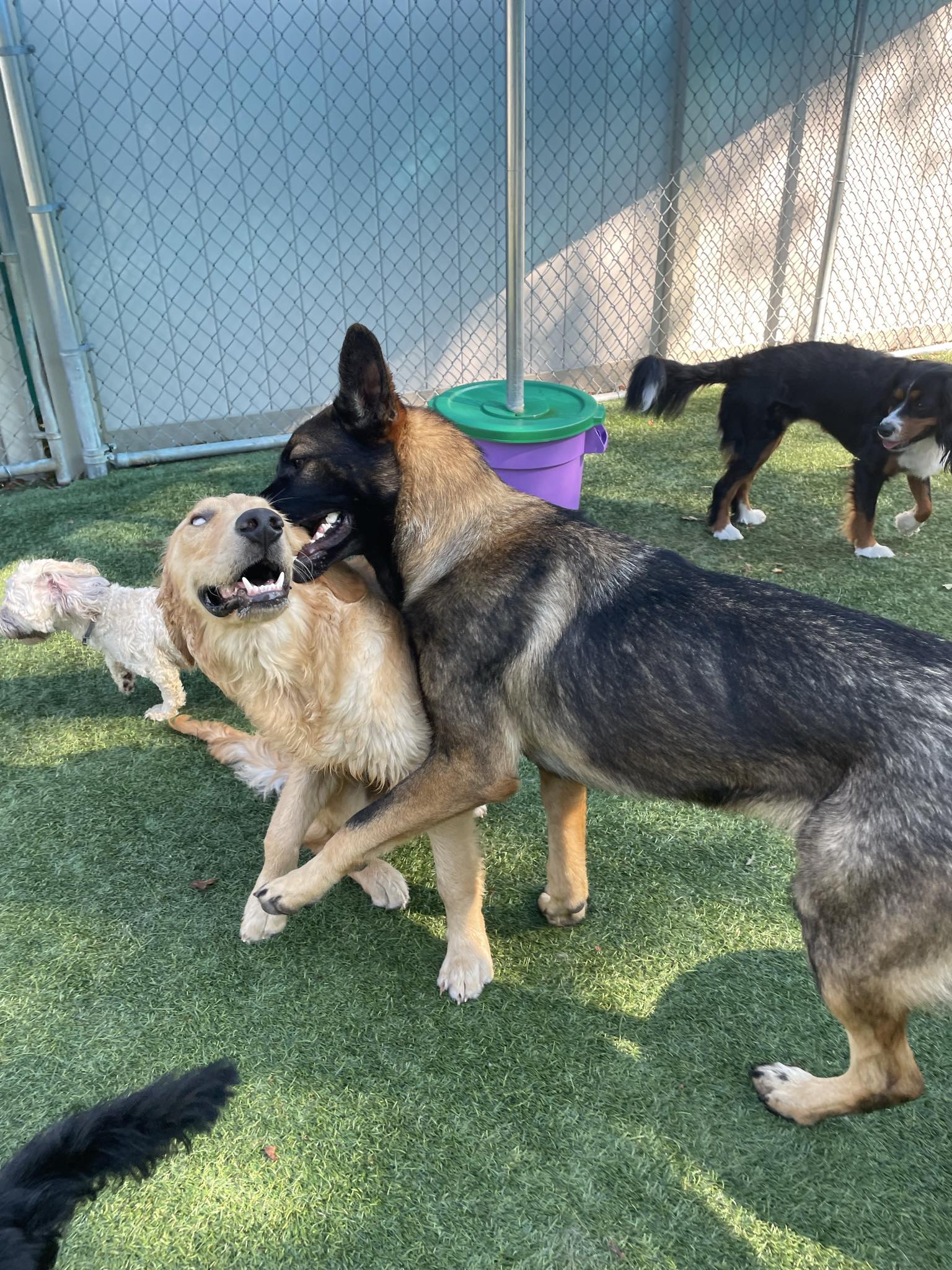 Messenger_creation_ef0fed3c-de5b-4ee9-b5db-8083e436bc6d