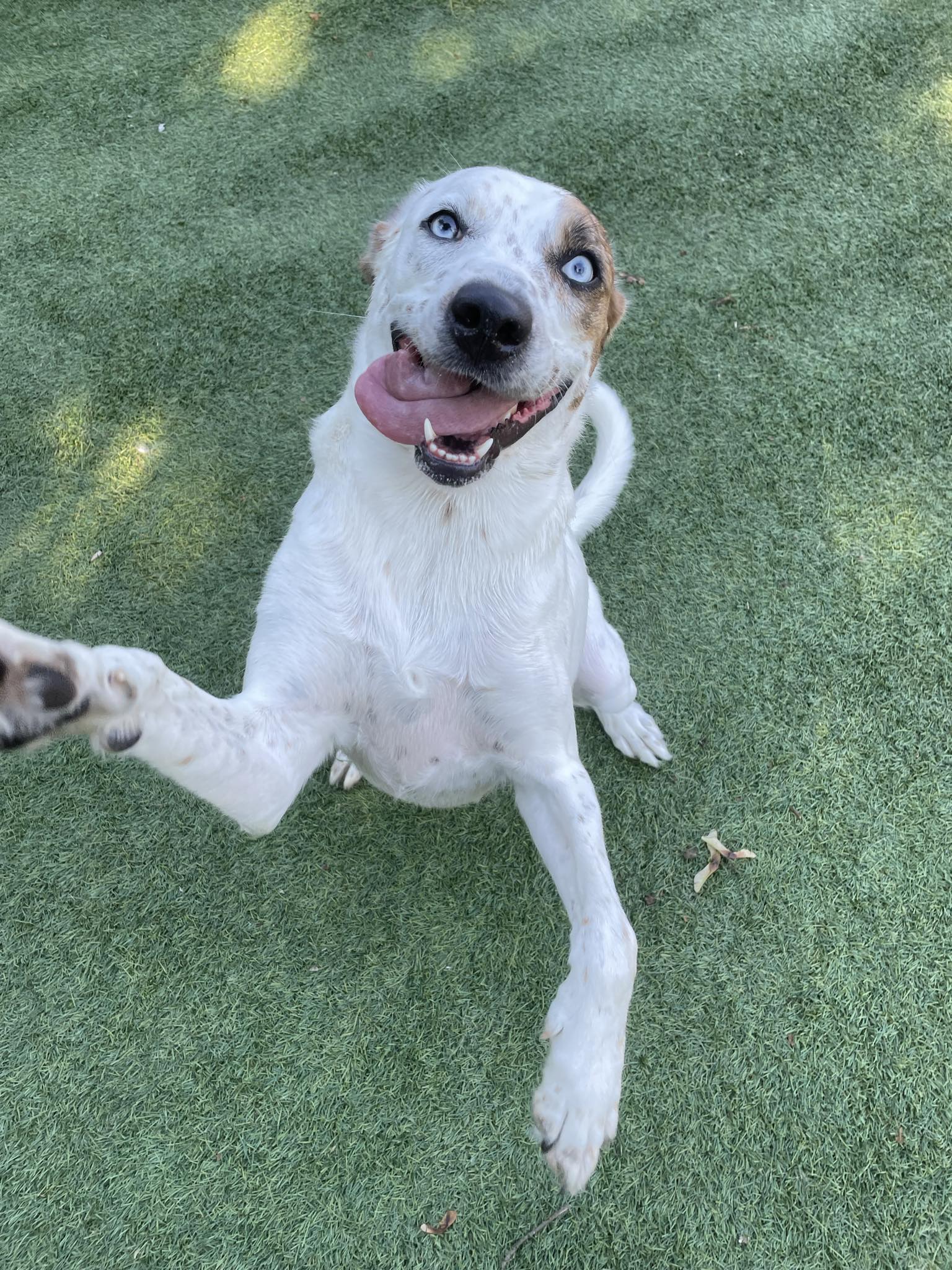 Messenger_creation_f769ee21-2137-4d94-b9eb-2550ab379acf